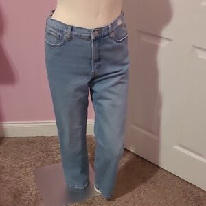 Banana Republic Blue Denim Jeans
